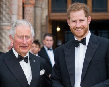 Prince Harry flew to the UK for 24 hours to visit King Charles following his cancer diagnosis
