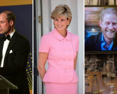 Prince William and Prince Harry both honoured their mother at the Diana Legacy Awards