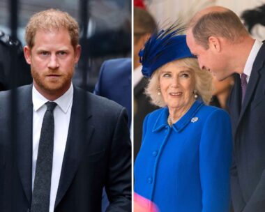 Prince Harry’s fury over Prince William’s friendship with Queen Camilla