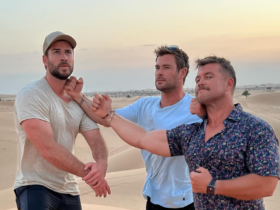 Meet the three brothers beloved by Hollywood & Australia: Chris, Liam and Luke Hemsworth