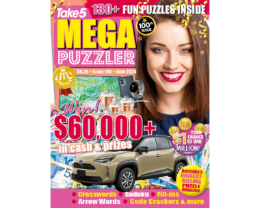 Take 5 Mega Puzzler Issue 100