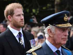 Prince Harry did not see King Charles while visiting the UK