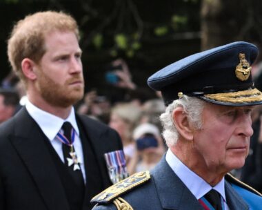 Prince Harry will reportedly not be seeing King Charles while he’s visiting the UK