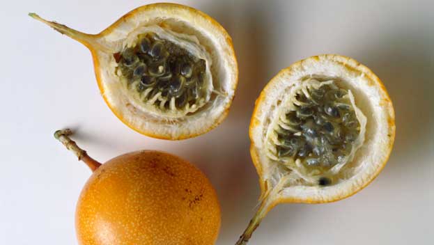 How to grow passionfruit