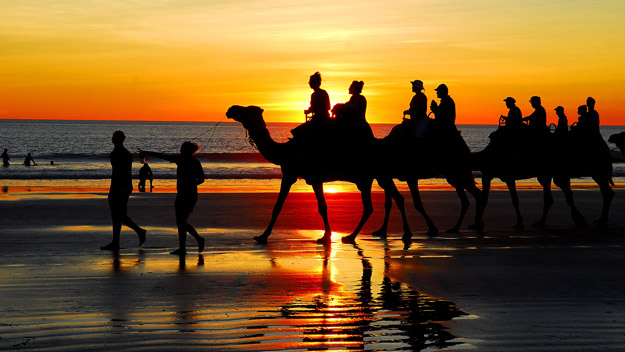 Camels on the beach, Broome