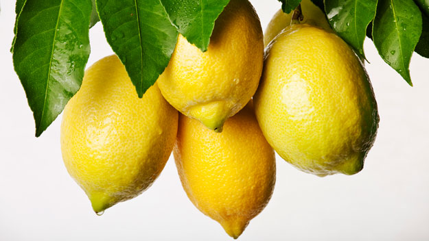 The secret to growing perfect lemons