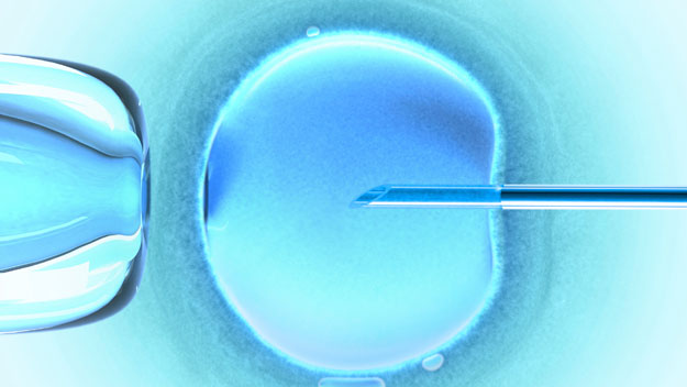 Should a child sex offender be allowed to have IVF?