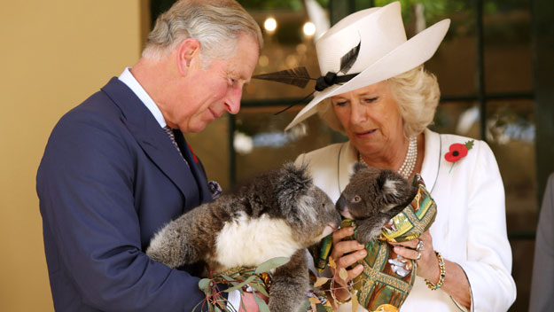 Australia loves Charles and Camilla