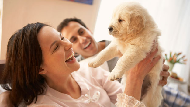 Good marriage and a puppy the secret to a happy life