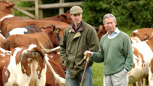 Prince William with his father on a Duchy of Cornwall farm.