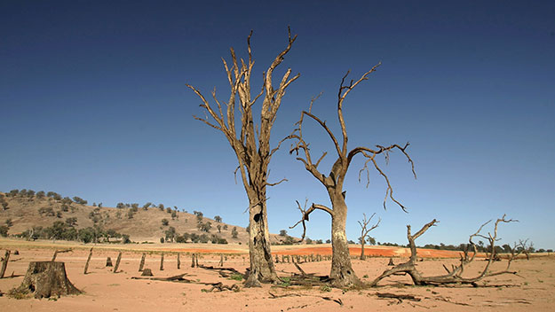 The drought persists in Southern Queensland. 