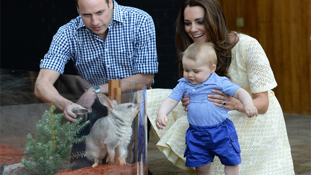 Prince William, Kate Middleton and Prince George with bilby