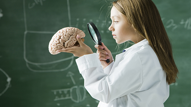 scientist with brain and magnifying glass, stock image 