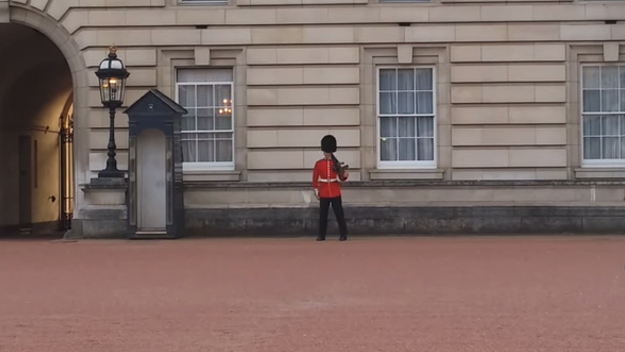 Buckingham Palace guard 