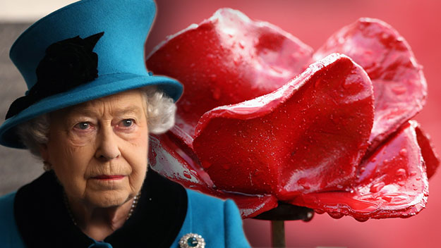 Queen Elizabeth red poppy