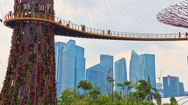Singapore metal trees walk way
