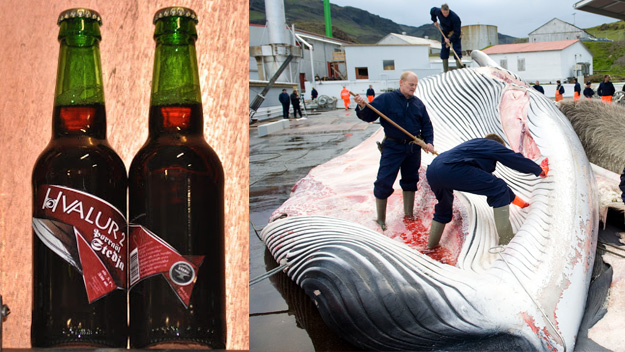 The Hvalur brew made from smoked whale testicles