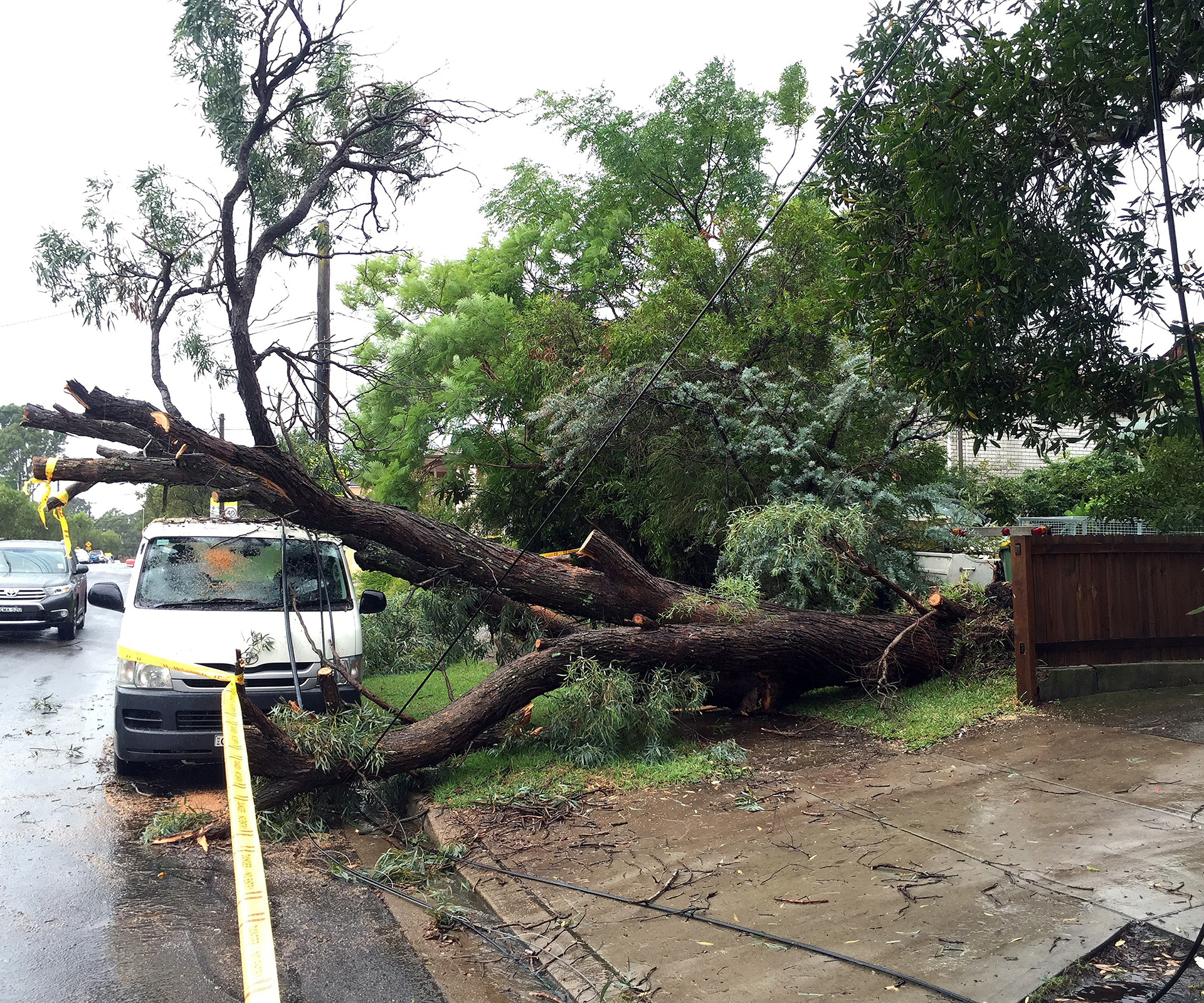 The NSW storm: what caused it and what you have to do