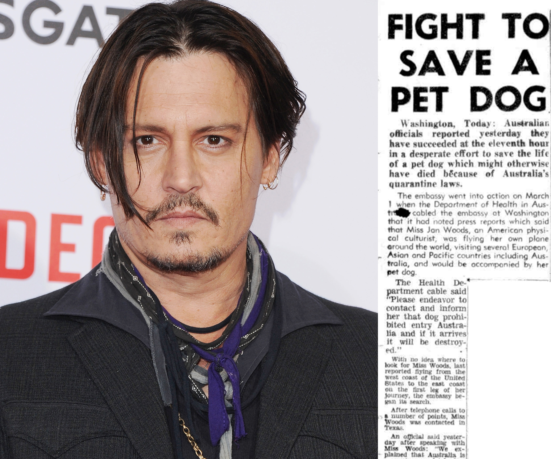 Johnny Depp’s Puppy-gate reminiscent of 1956 fight to save dog