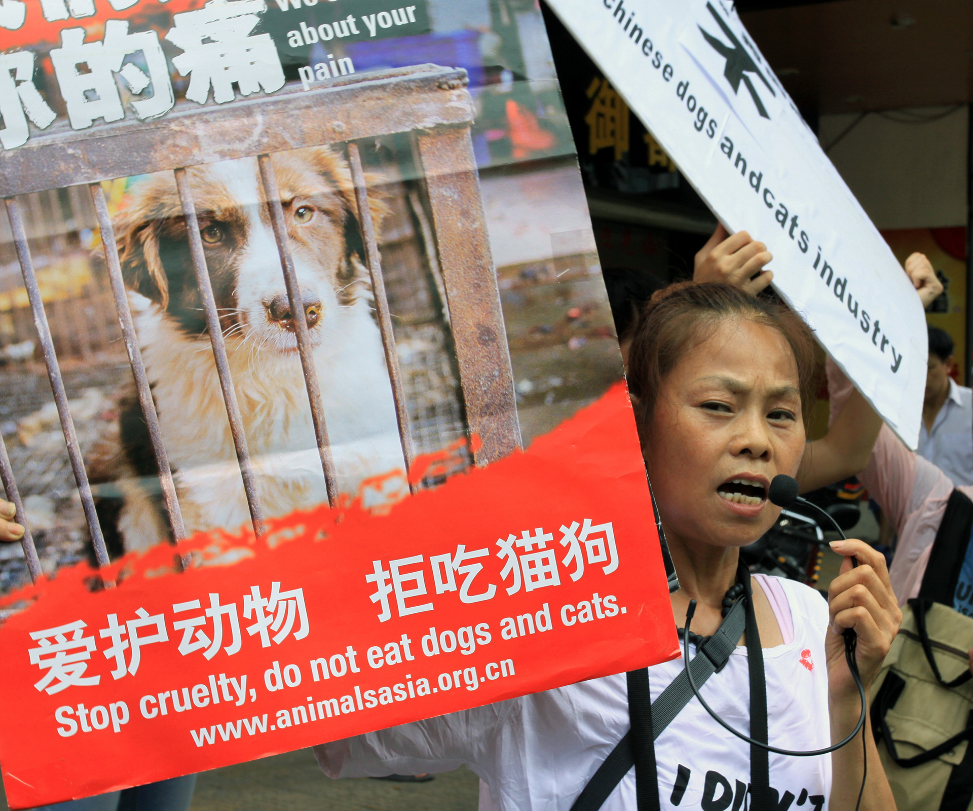 Yulin dog meat ‘Festival of cruelty’