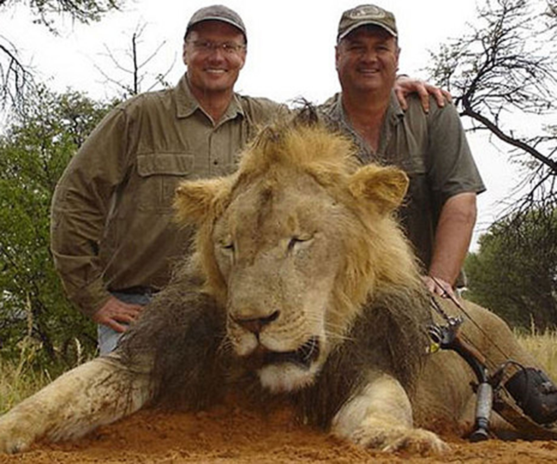 Man who skinned and beheaded lion under siege