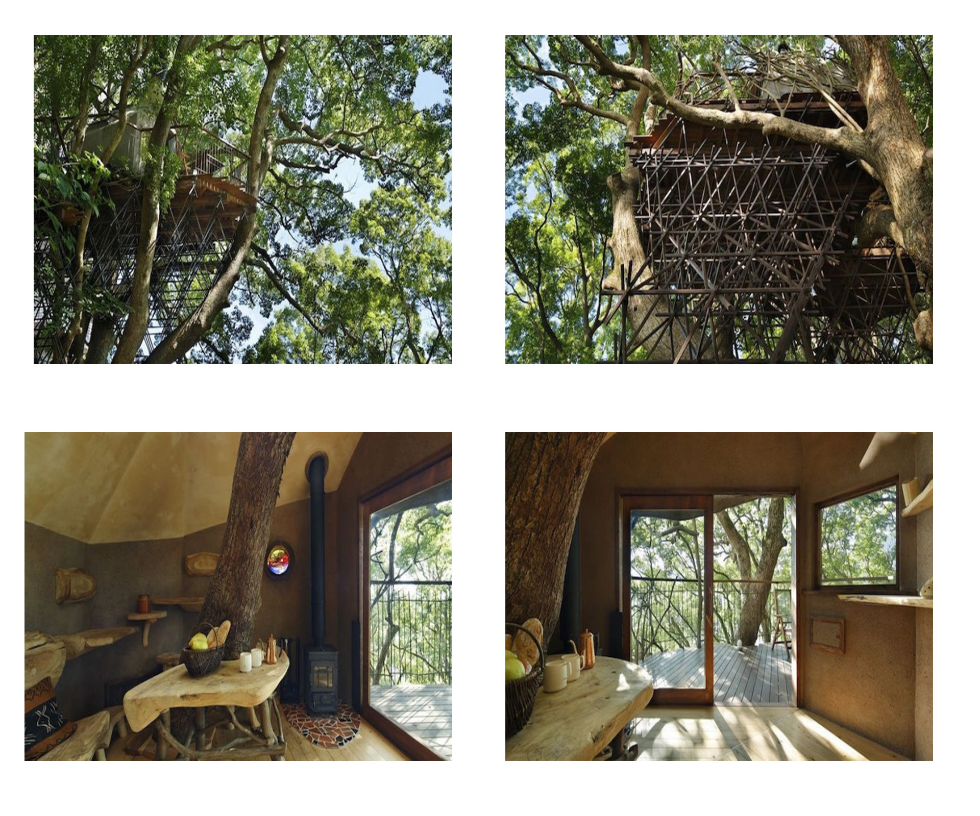 Is this the world’s best tree house?