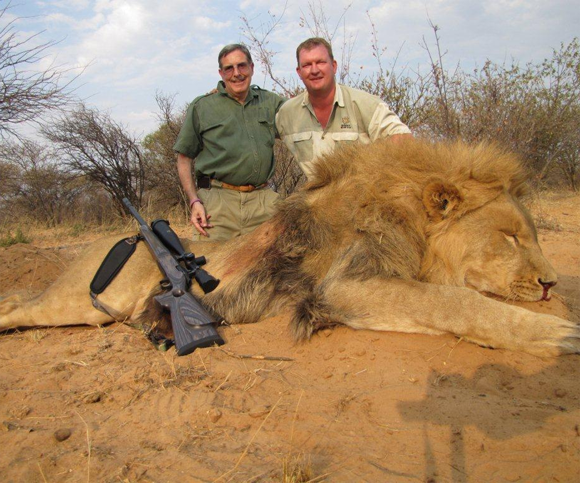 Lion hunting in Africa now easier than ever