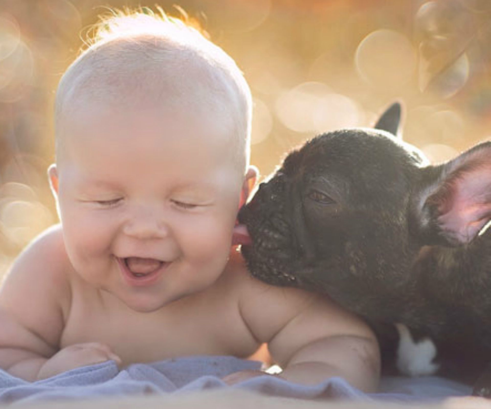 Baby and bulldog: Unlikely best friends