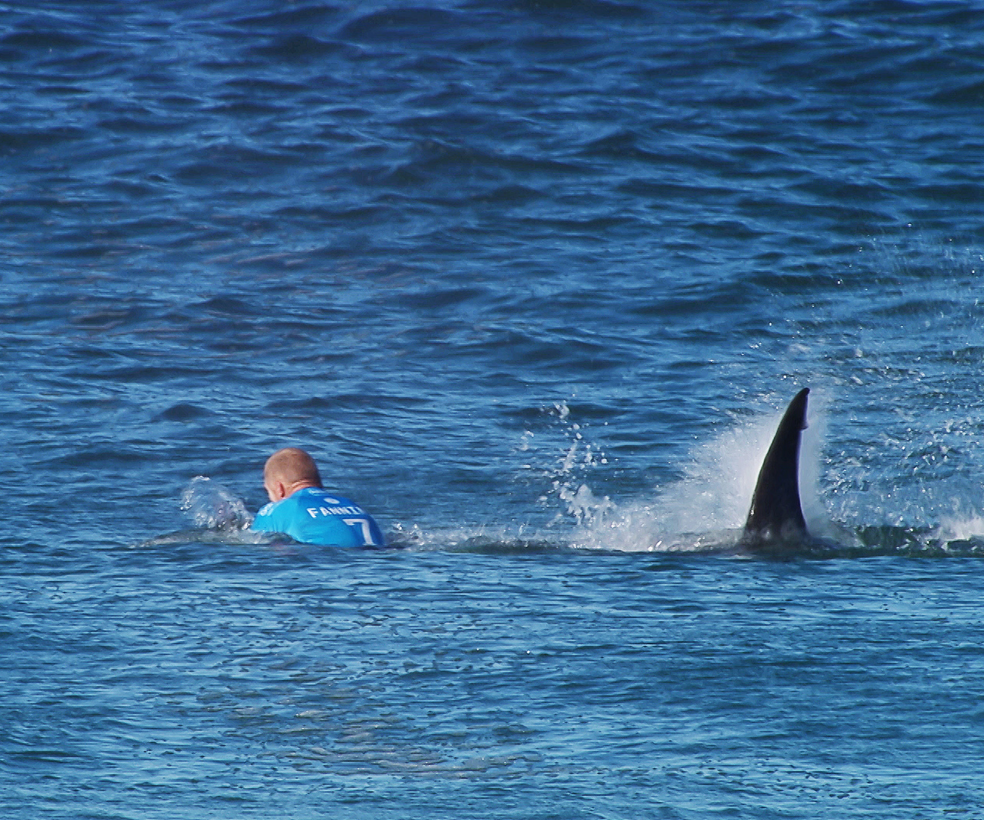 Aussie surfers seek shark cull