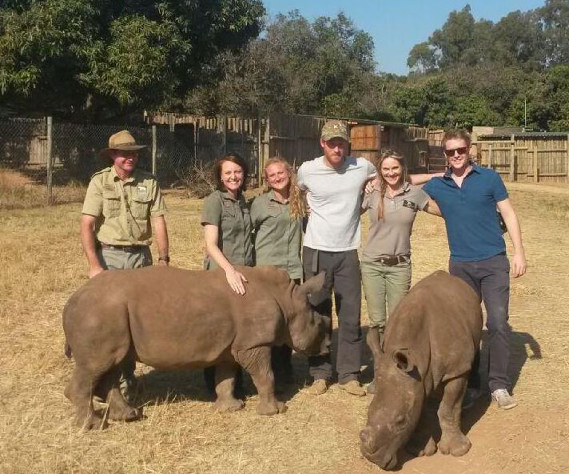 Prince Harry poses with rhinos in South Africa