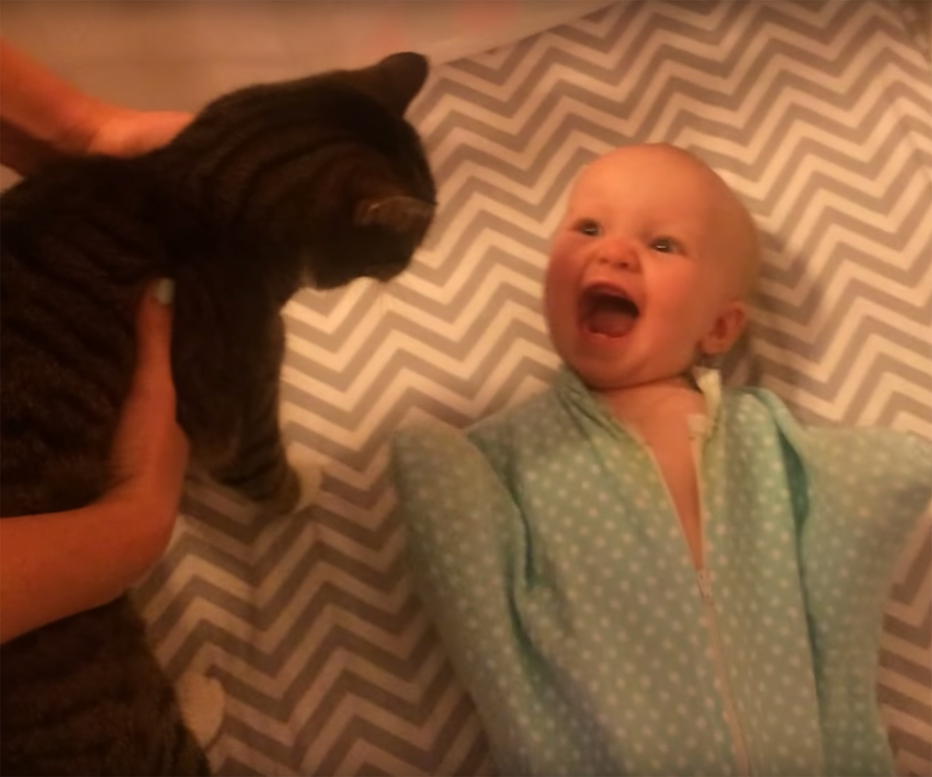 This baby really, REALLY loves her cat
