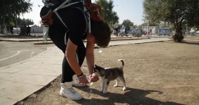 Syrian refugee carries puppy 500km to safety