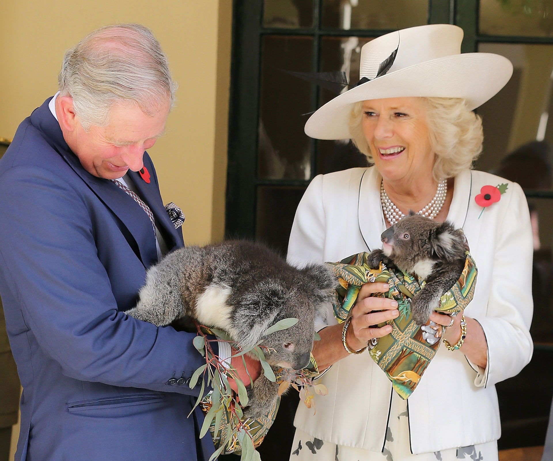 Charles and Camilla coming to Australia
