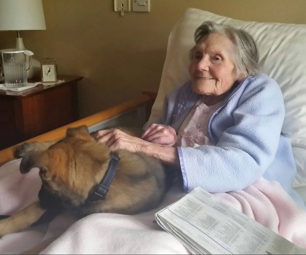 Nurse moved to tears after seeing elderly patient react to puppy