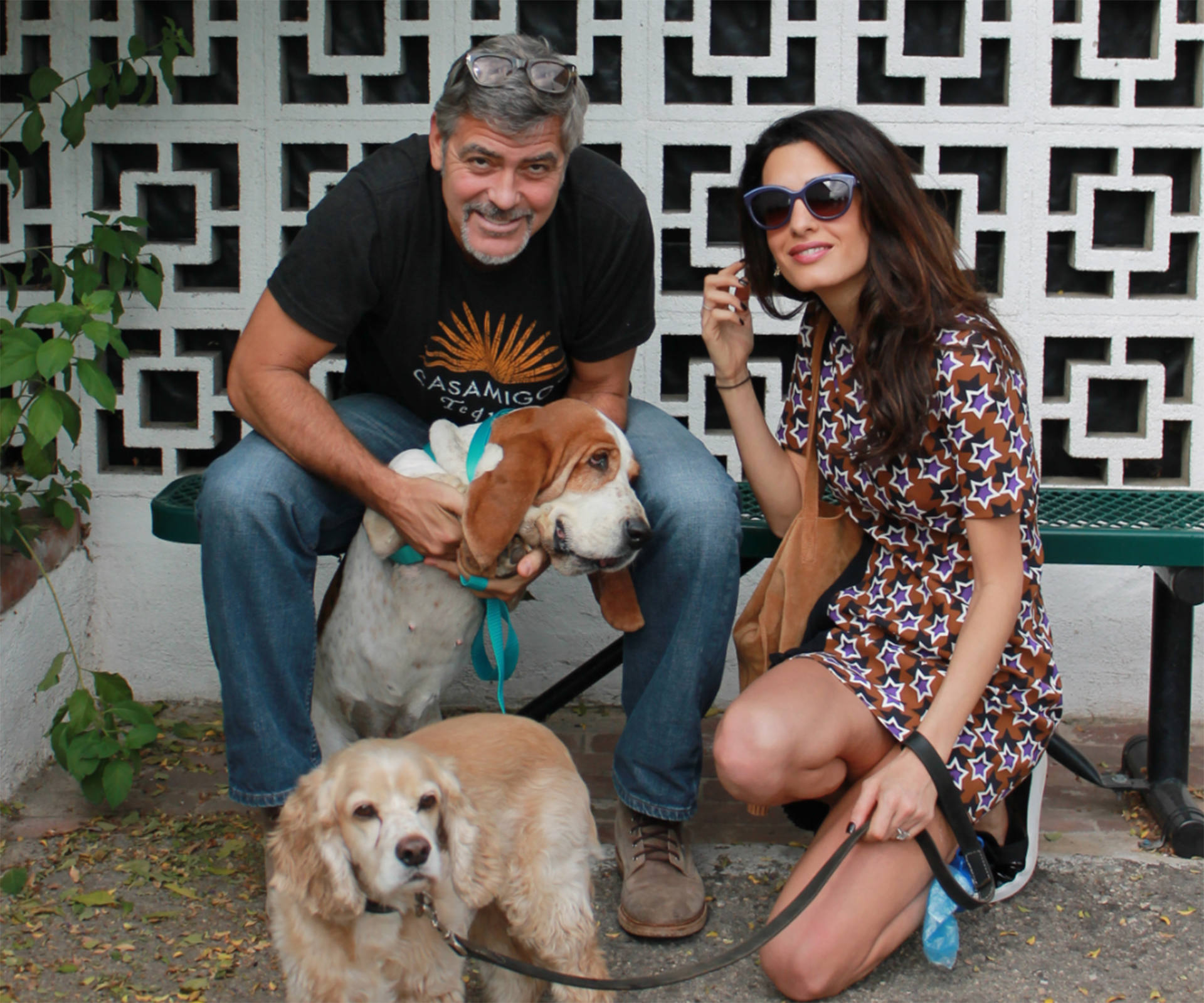 George and Amal Clooney add a pup to their growing family