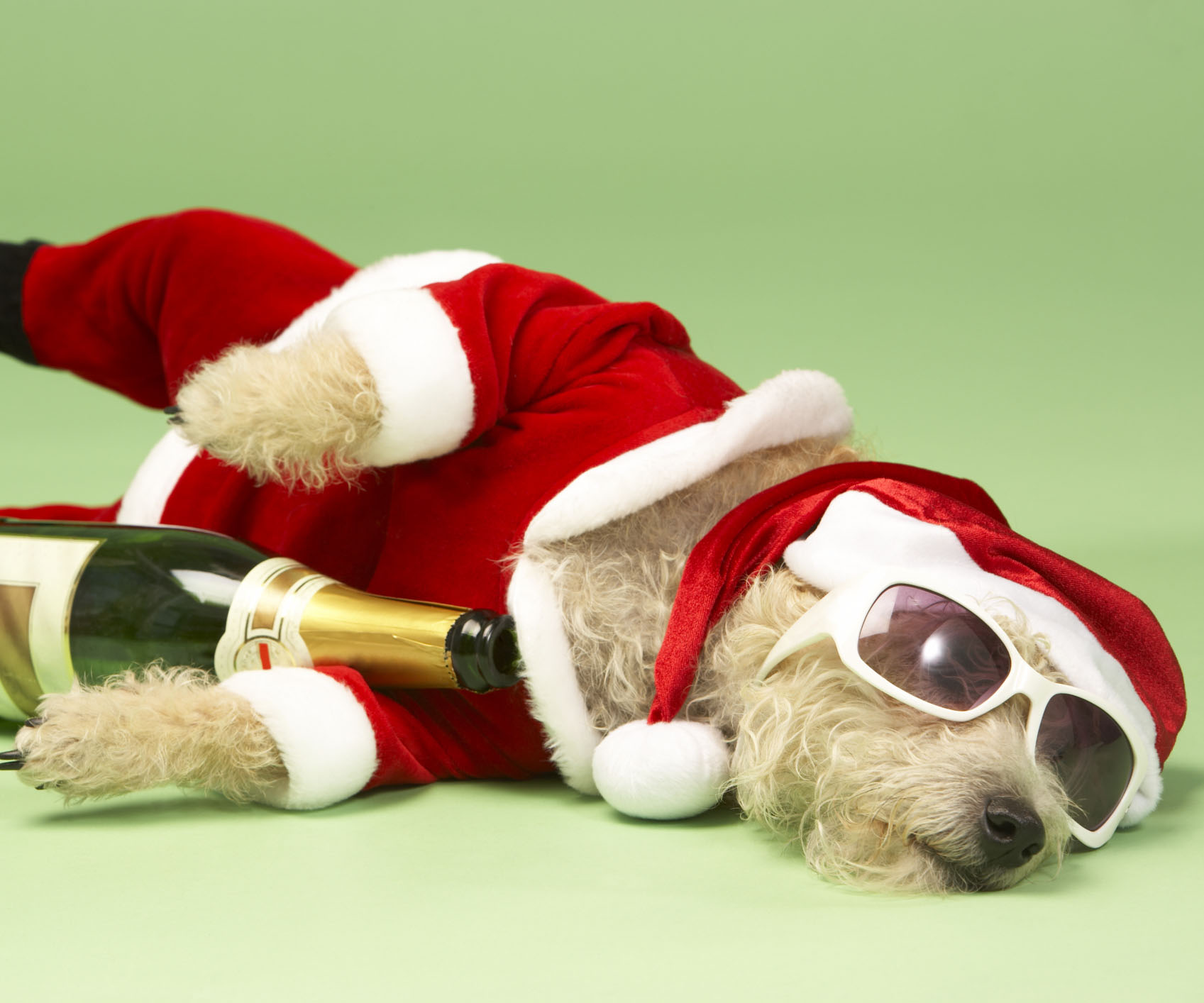 Hangover cures you need to know about right now