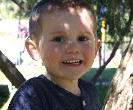 Police investigate message on tree near where William Tyrrell went missing