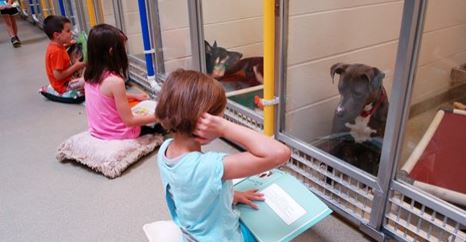 Children read to shelter dogs to keep them calm