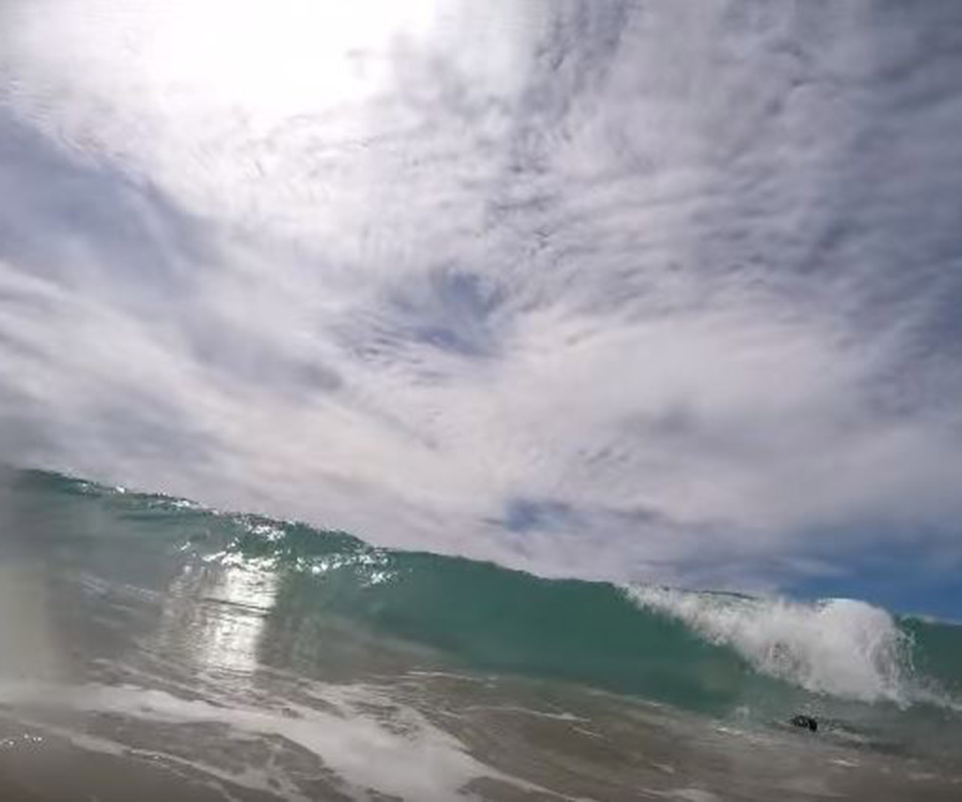 Terrifying video: Shark swims between NZ dad and daughter at beach
