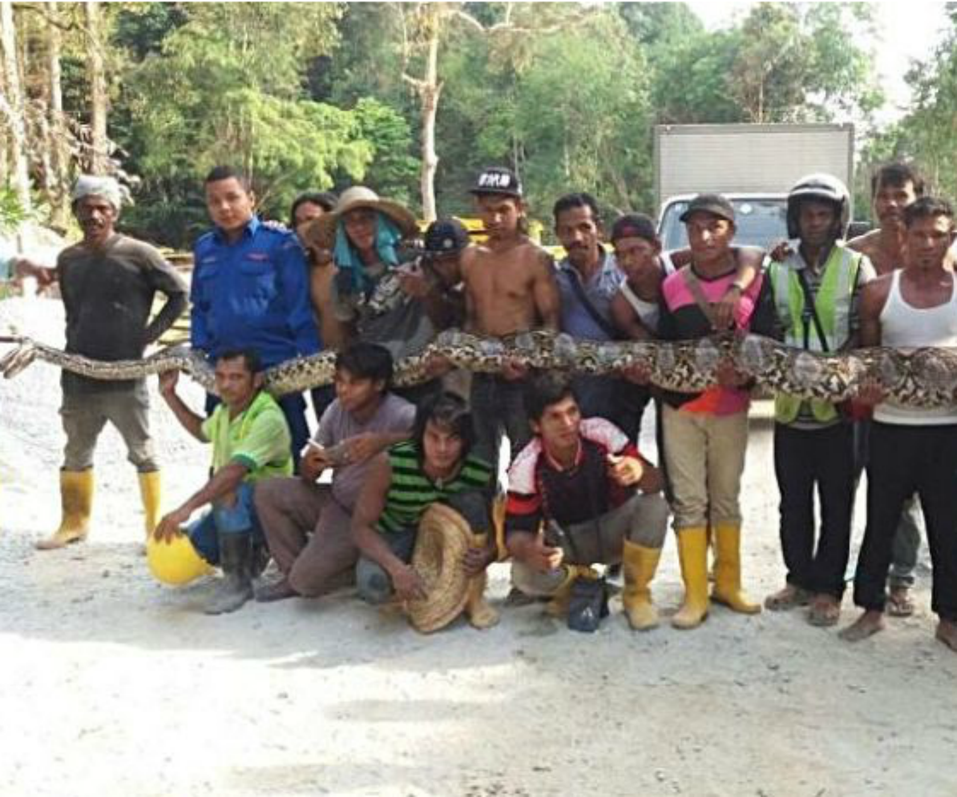 Is this the world’s biggest snake?