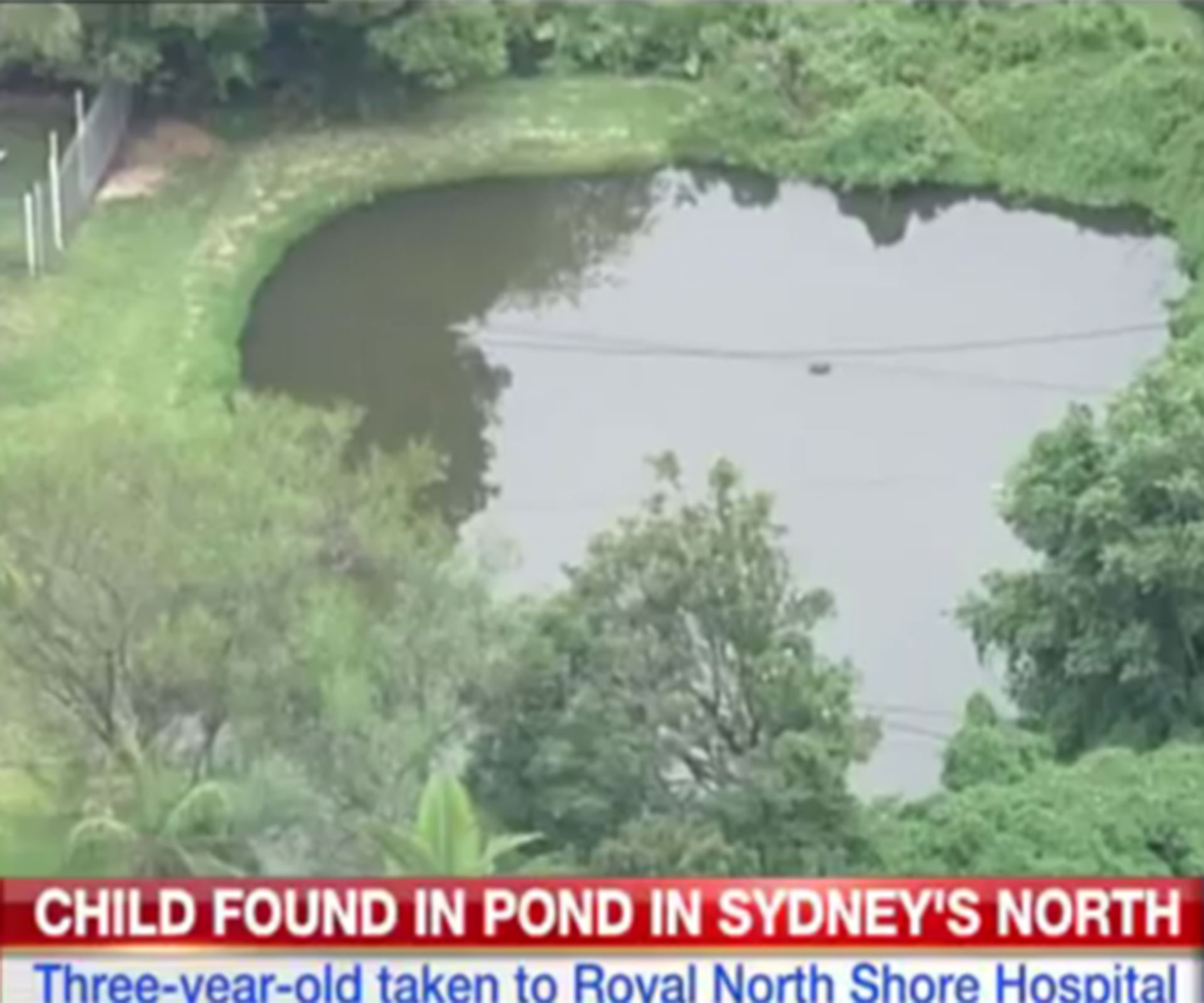 Sydney toddler drowns in backyard pond