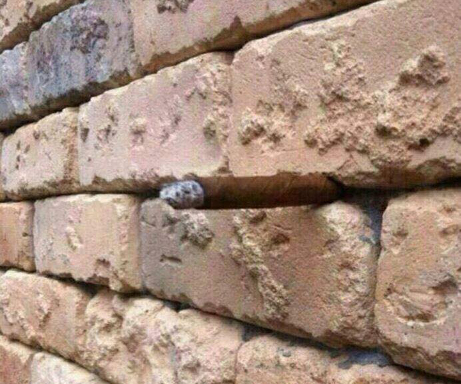 Can you see why people are so confused by this brick wall?