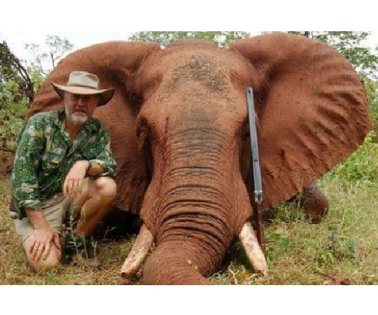 Aussie politician shot and ate elephant