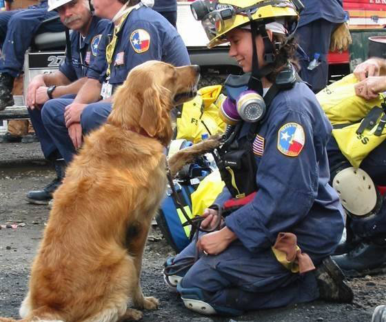  Guard of honour given to final 9/11 service dog 