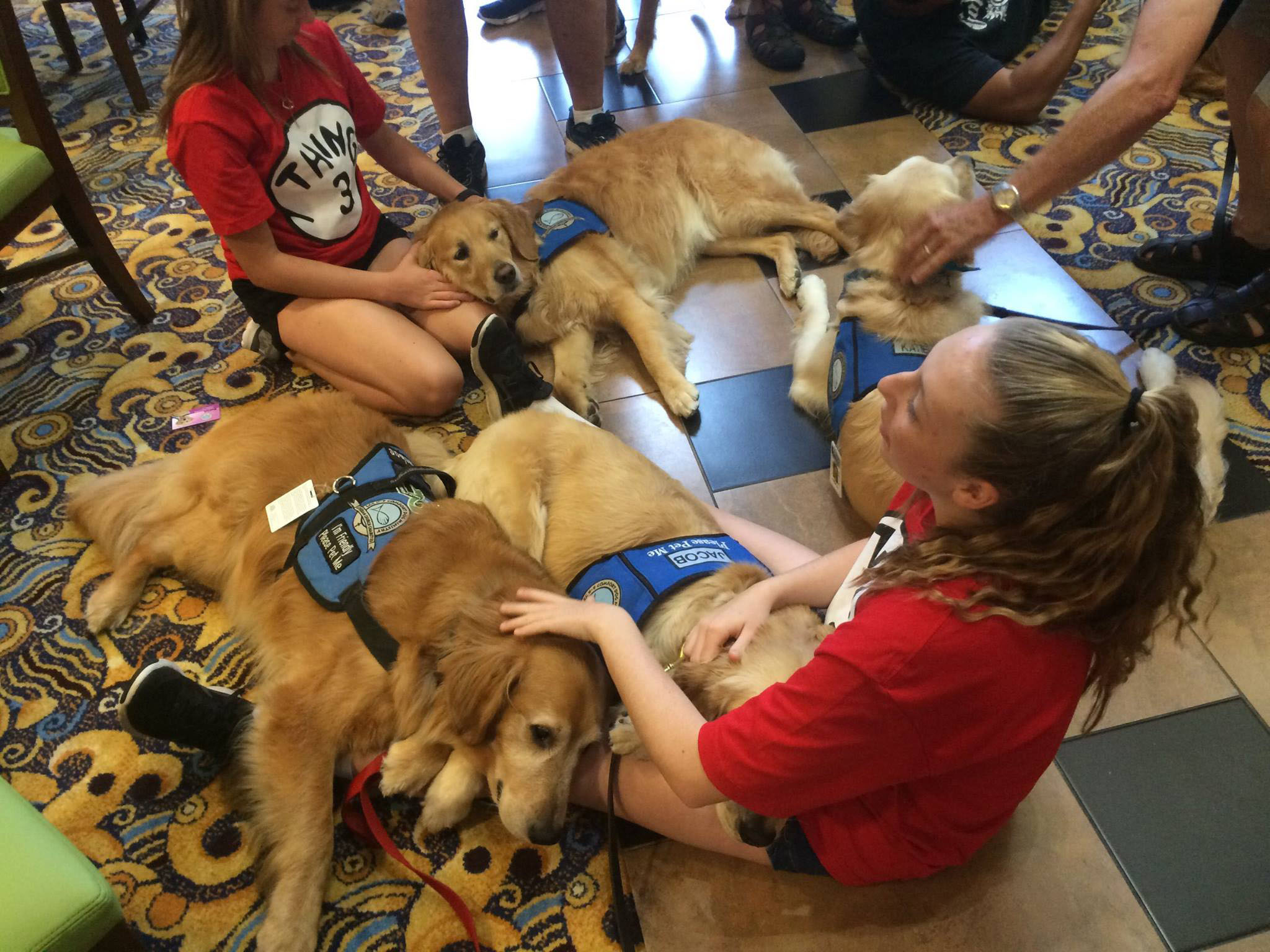 Meet the dogs bringing comfort to the devastated Orlando community 