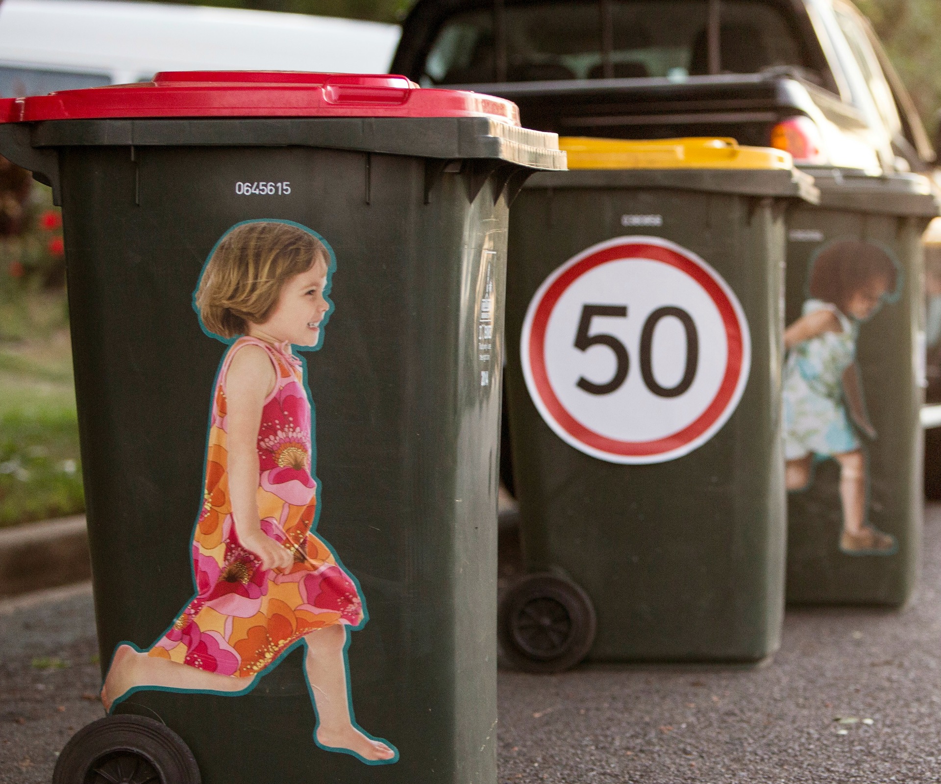 How a $10 wheelie bin sticker could save a life