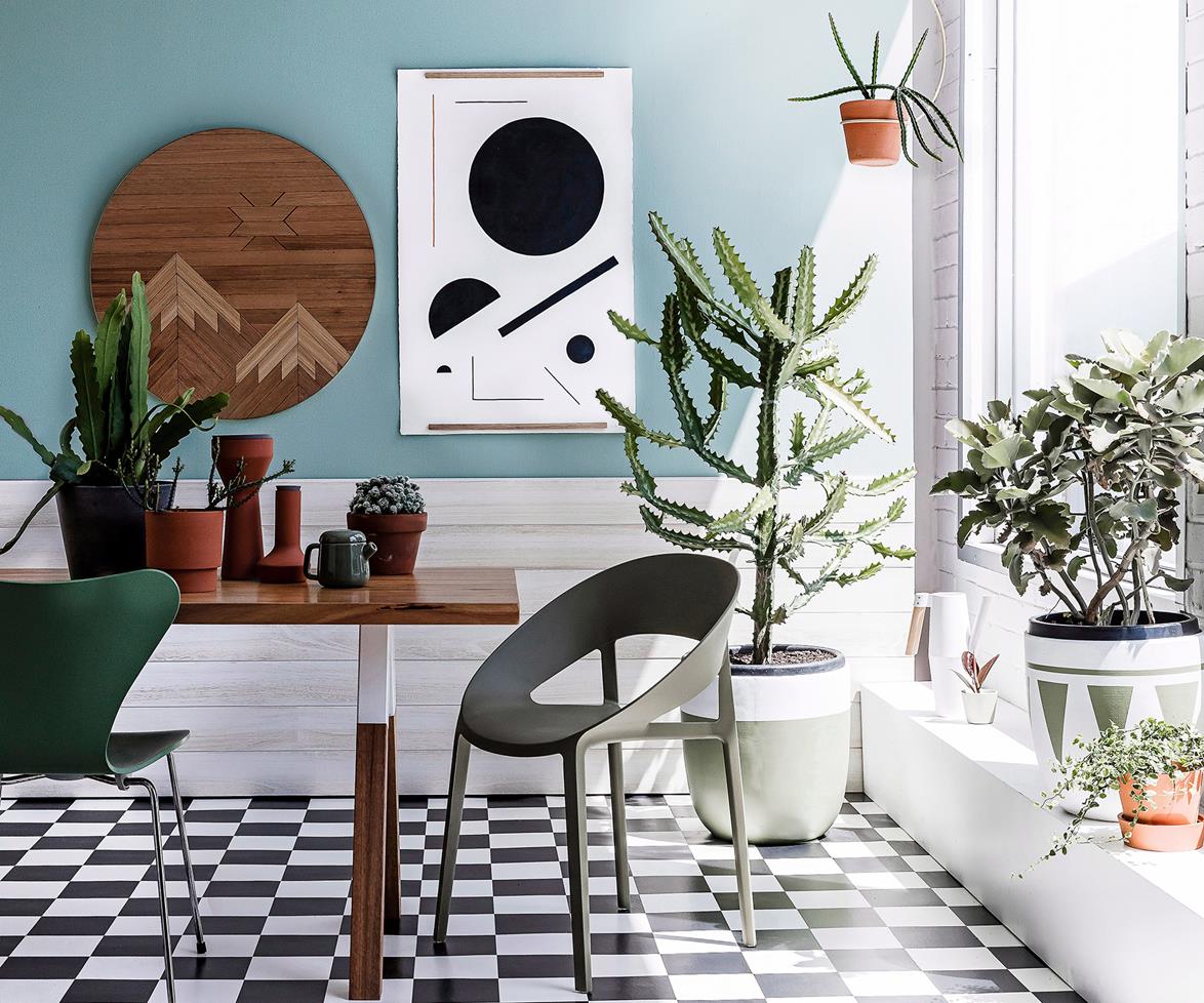 Three indoor plants that will naturally clean the air you breathe