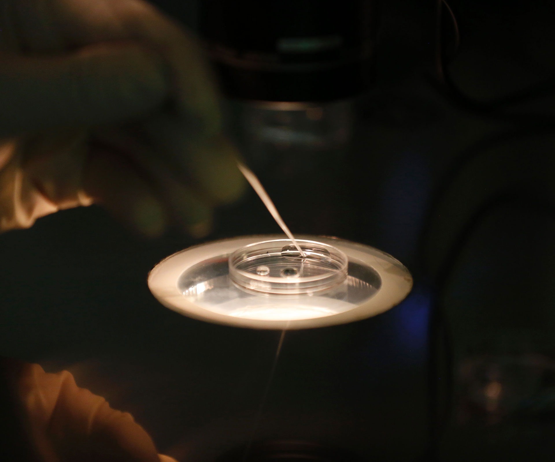 Fertility clinic embryos destroyed during SA storm
