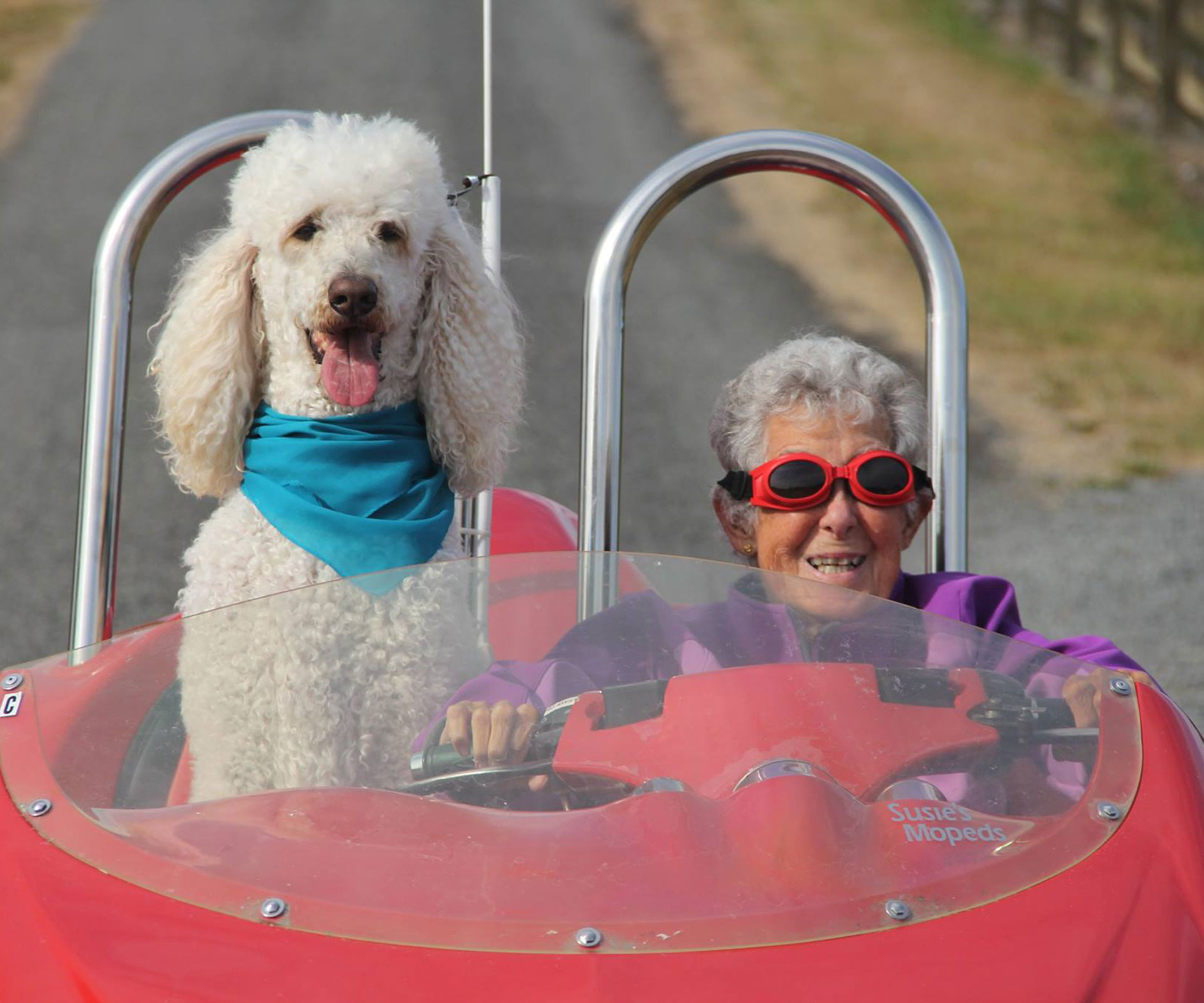 Road-tripping granny and social media sensation dies at 91