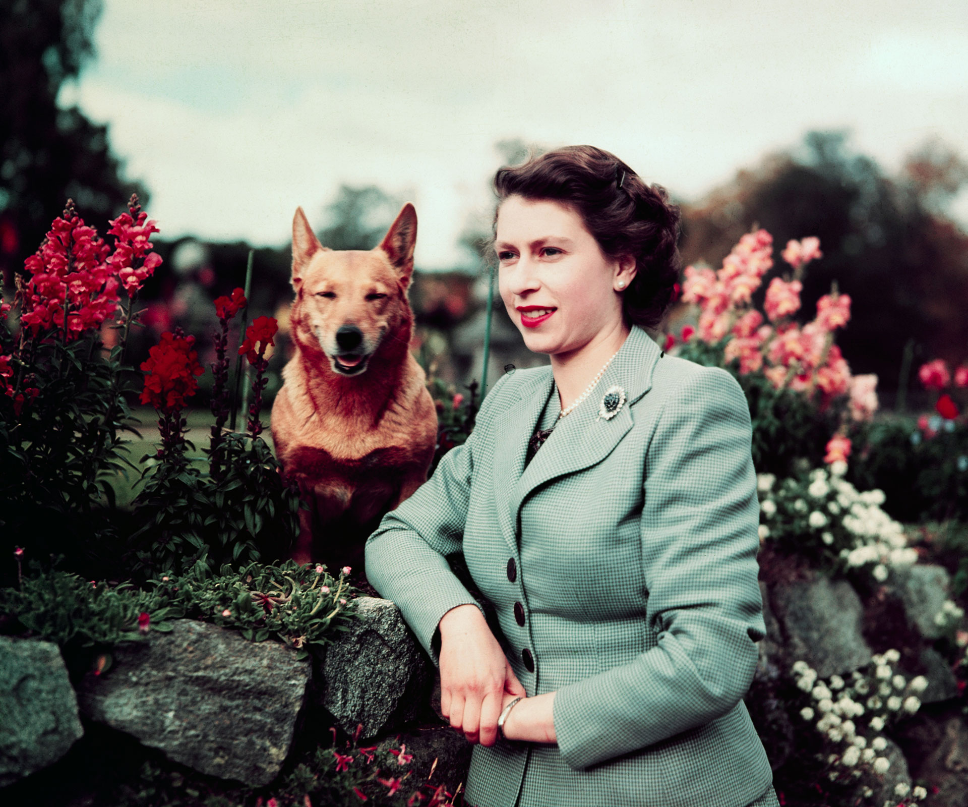 The Queen loses one of her beloved corgis